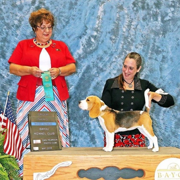 Meet your Posher, Kris - Picture 4 of 4